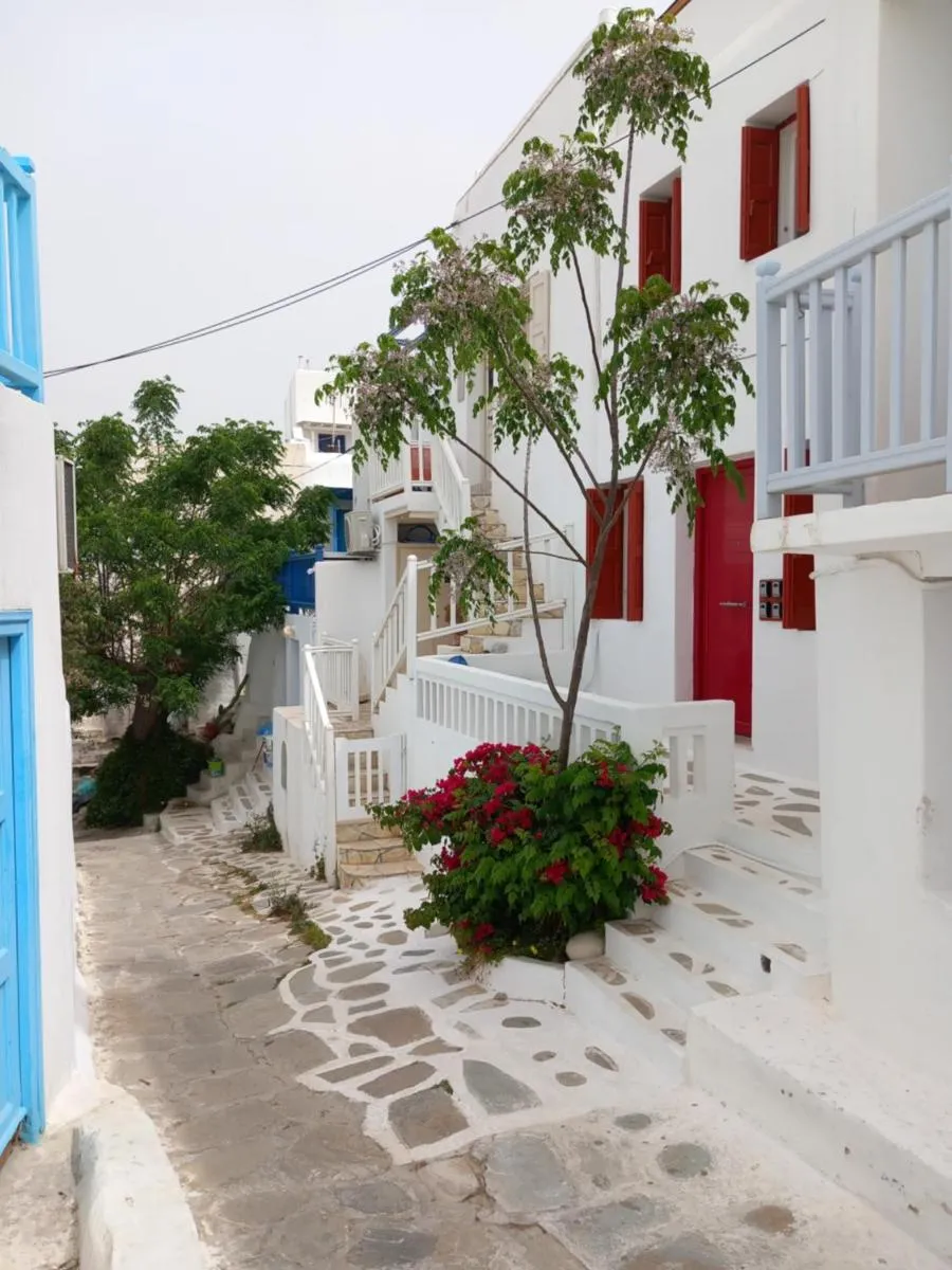 Image 5 of Alex oldtown sea view rooms and appartments