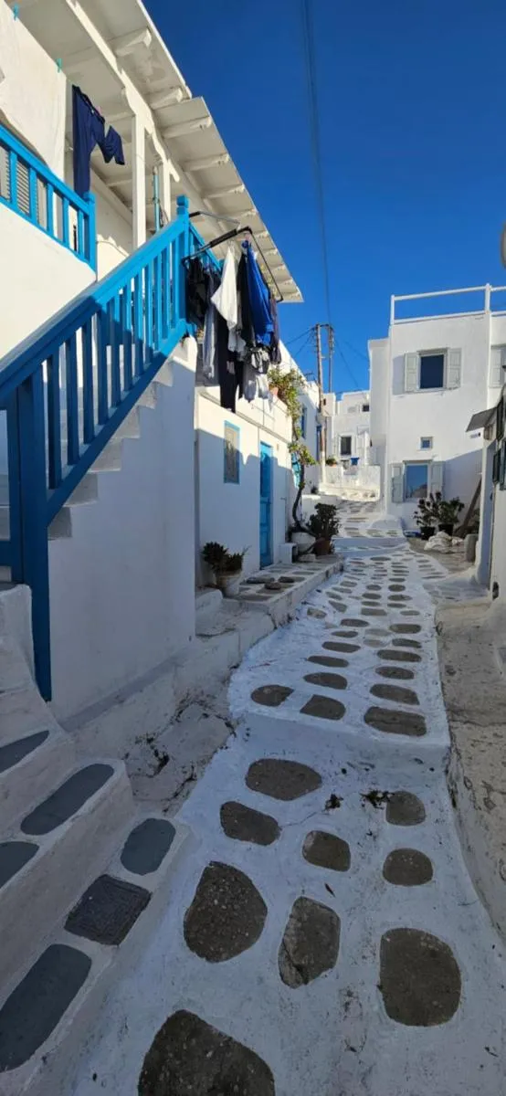 Image 2 of Alice’s House