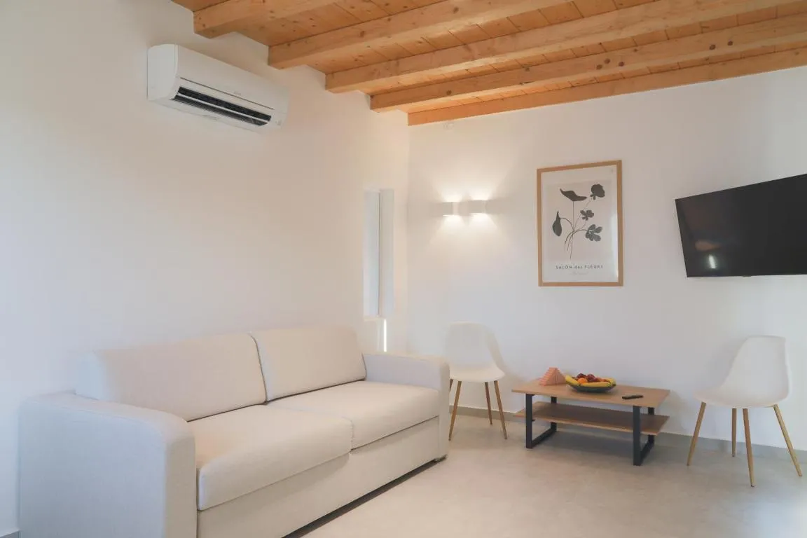 Image of Frances Mykonos