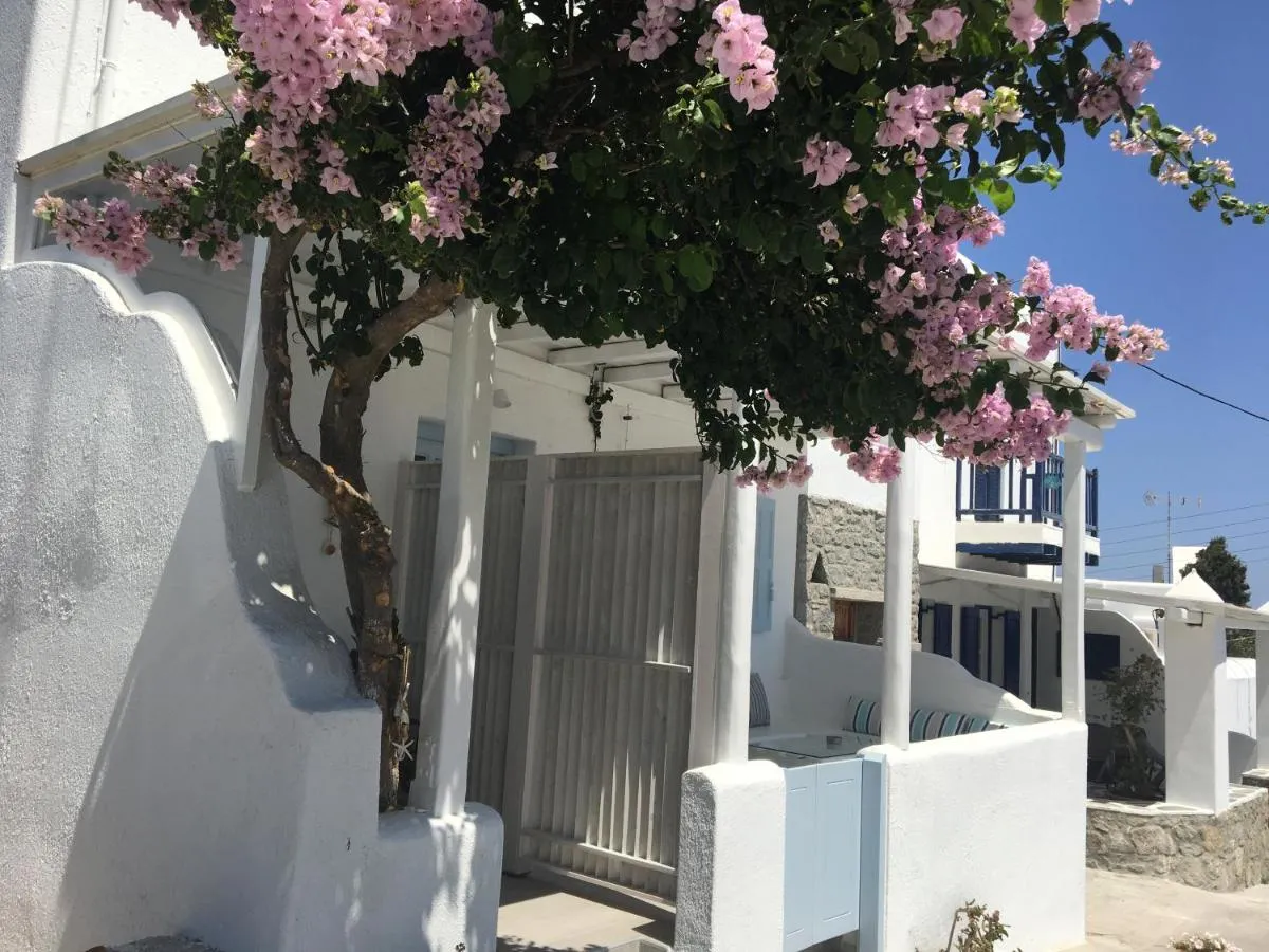Image 5 of Mina Studios