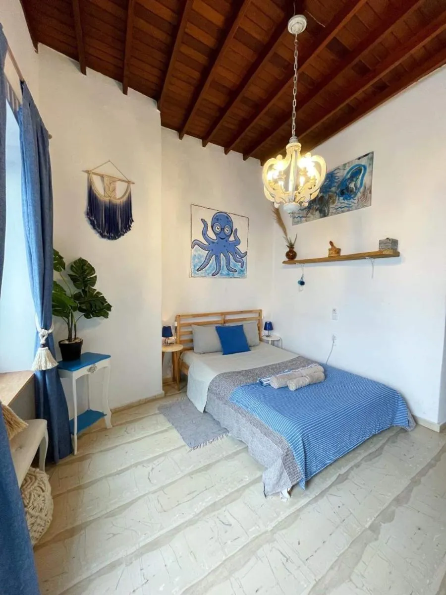 Image 5 of Octopus Blue