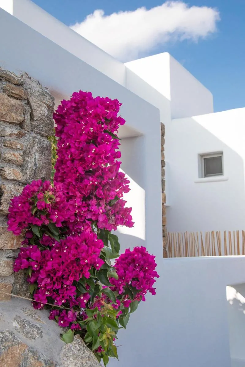 Image 6 of The Summit of Mykonos