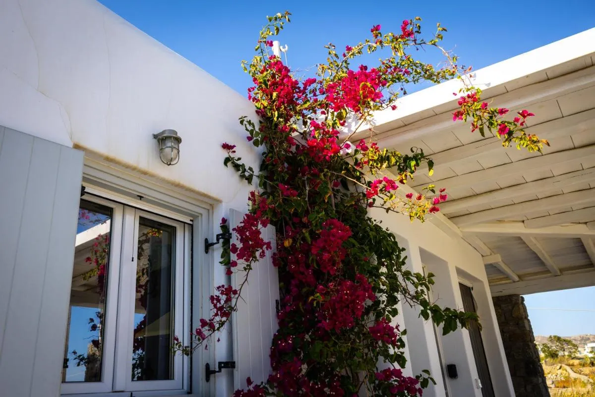 Image 1 of Villa Artemis (Agios Lazaros, Psarou)