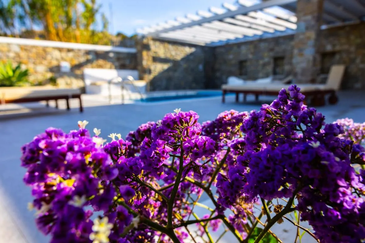 Image 3 of Villa Artemis (Agios Lazaros, Psarou)