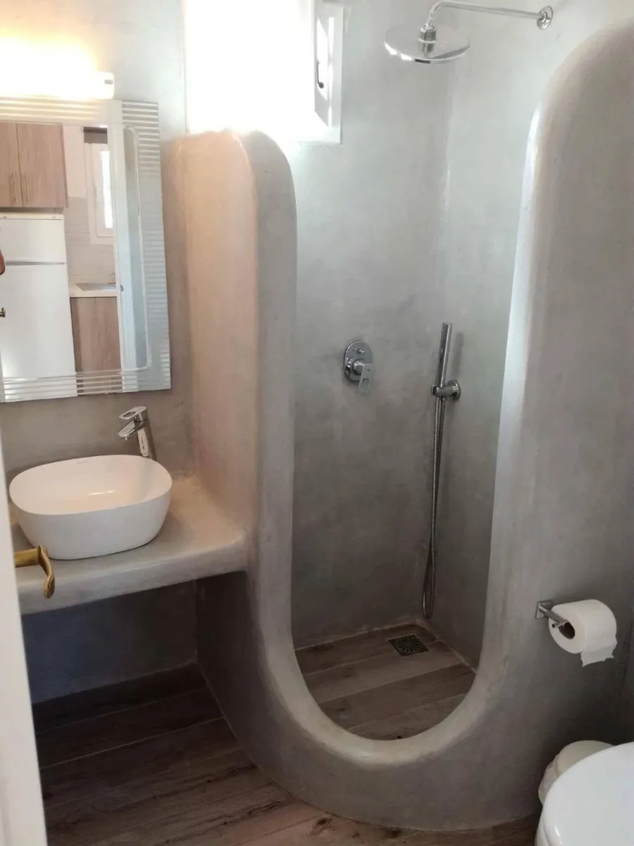 Image 4 of Liana Studios