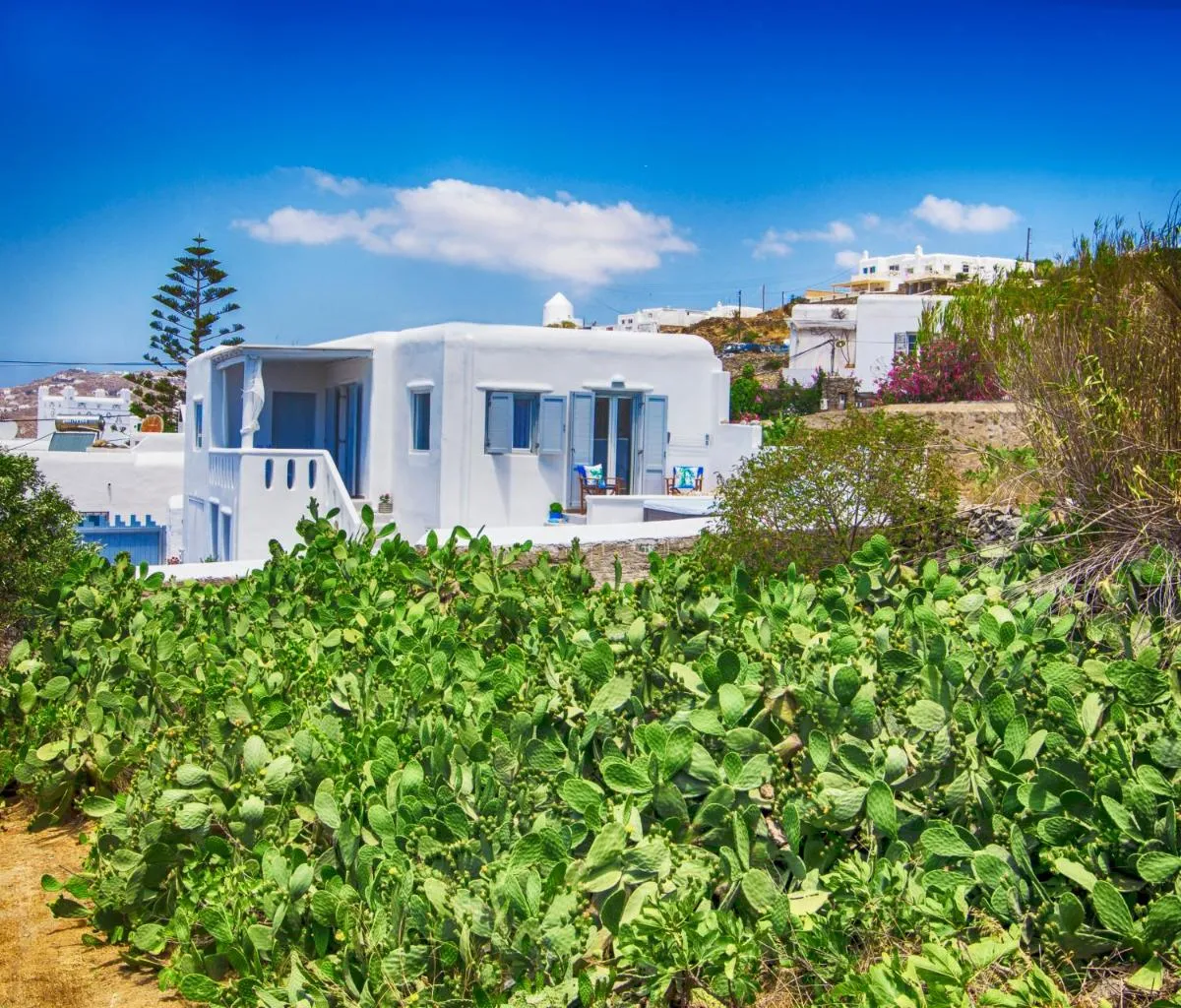 Image 5 of Sole Mare Villa